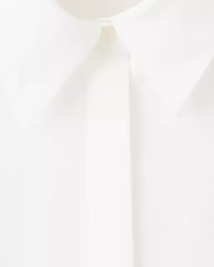 Color-Off white