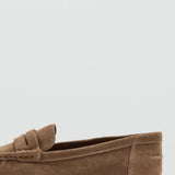 Color-Camel