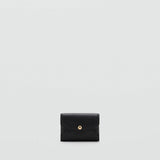Color-Negro