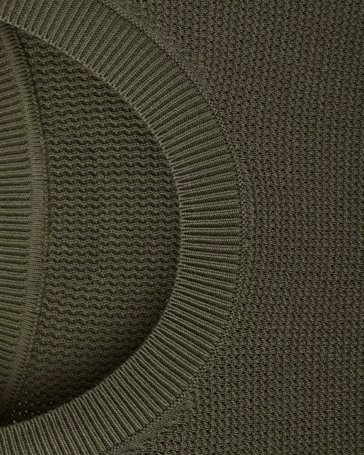 Color-Olivo