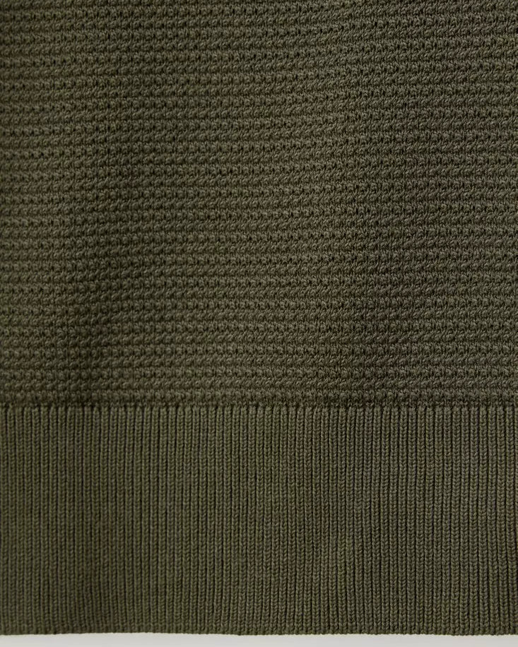 Color-Olivo