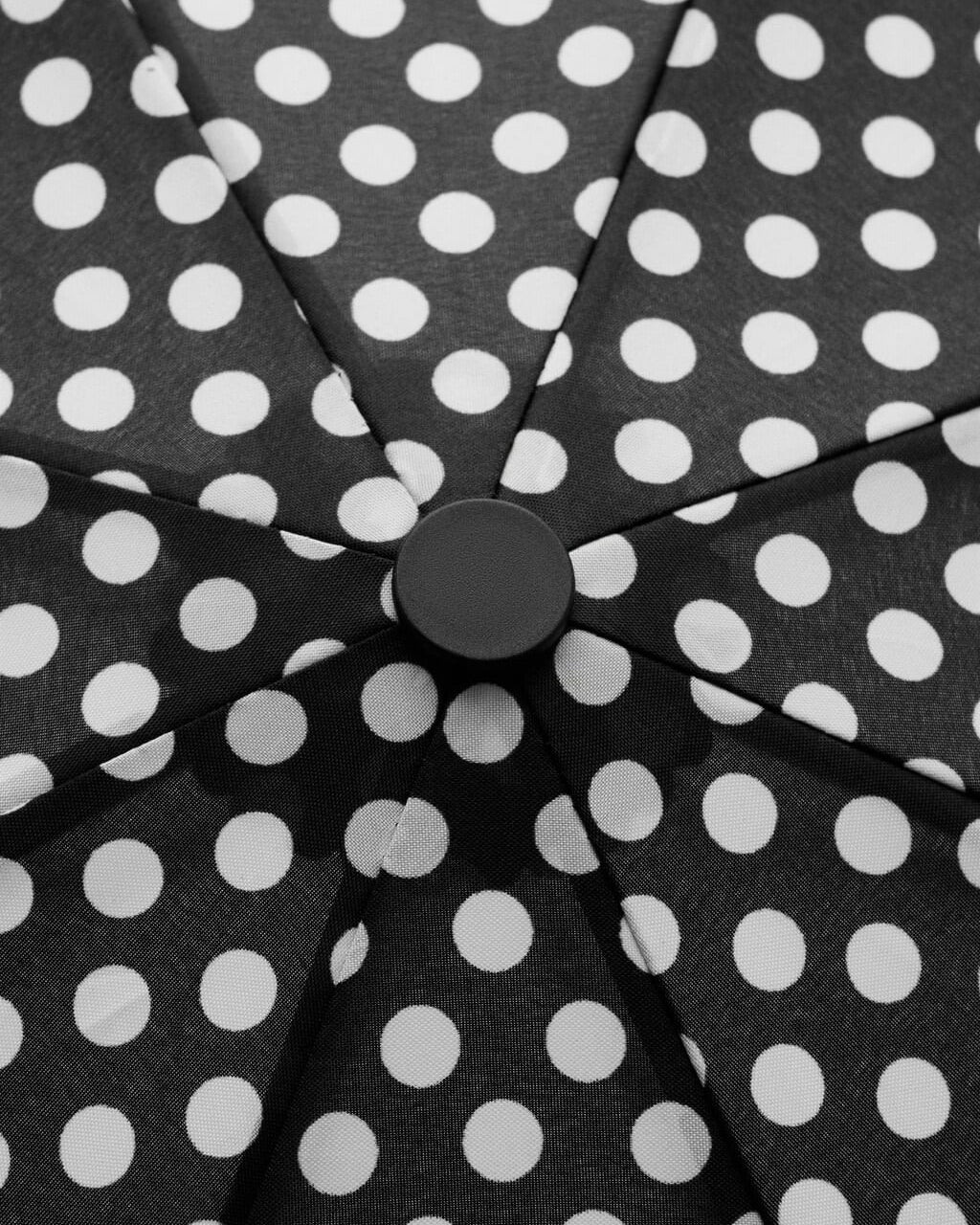 Color-Negro