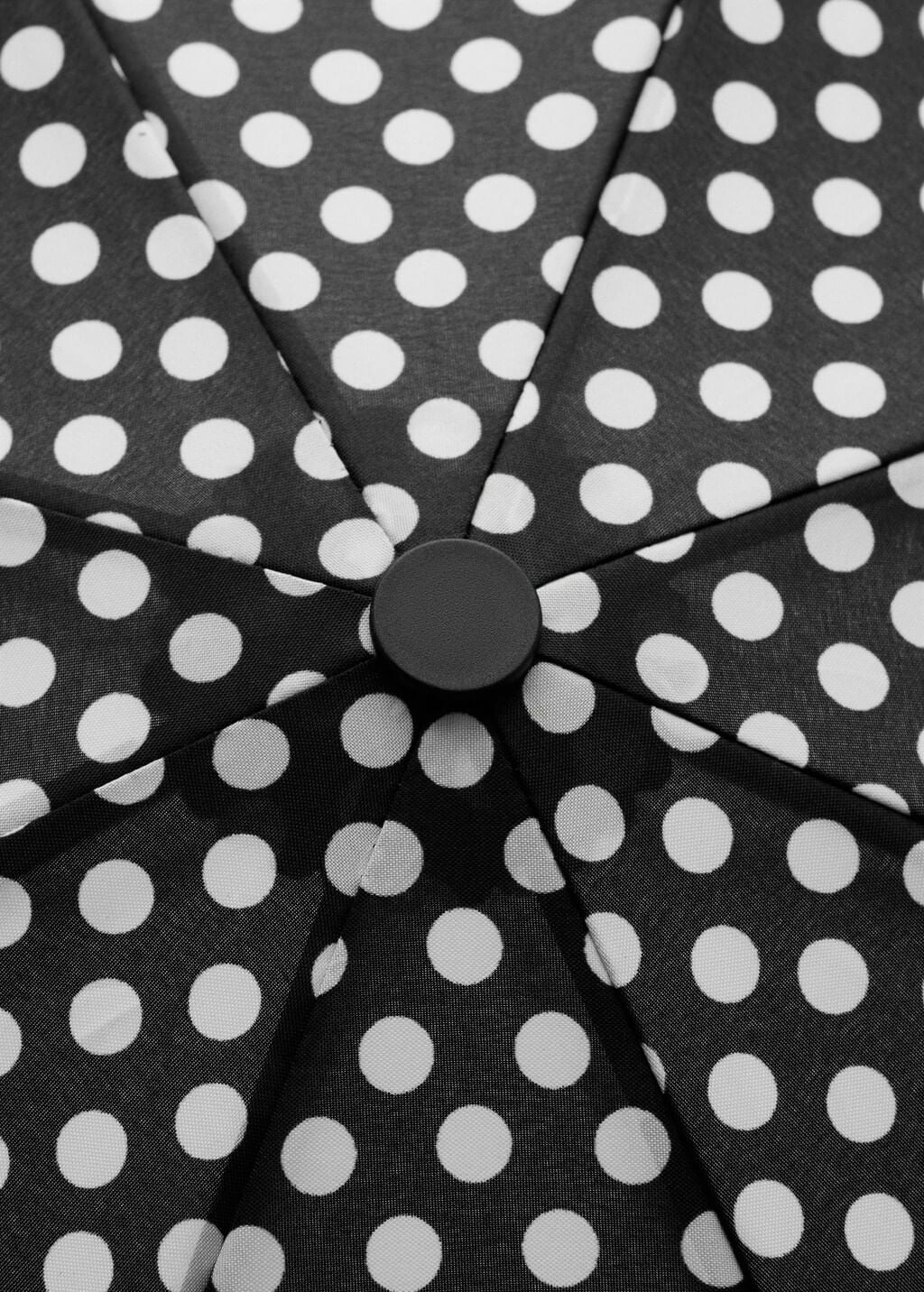 Color-Negro