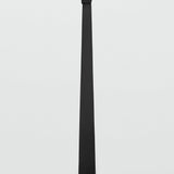 Color-Negro