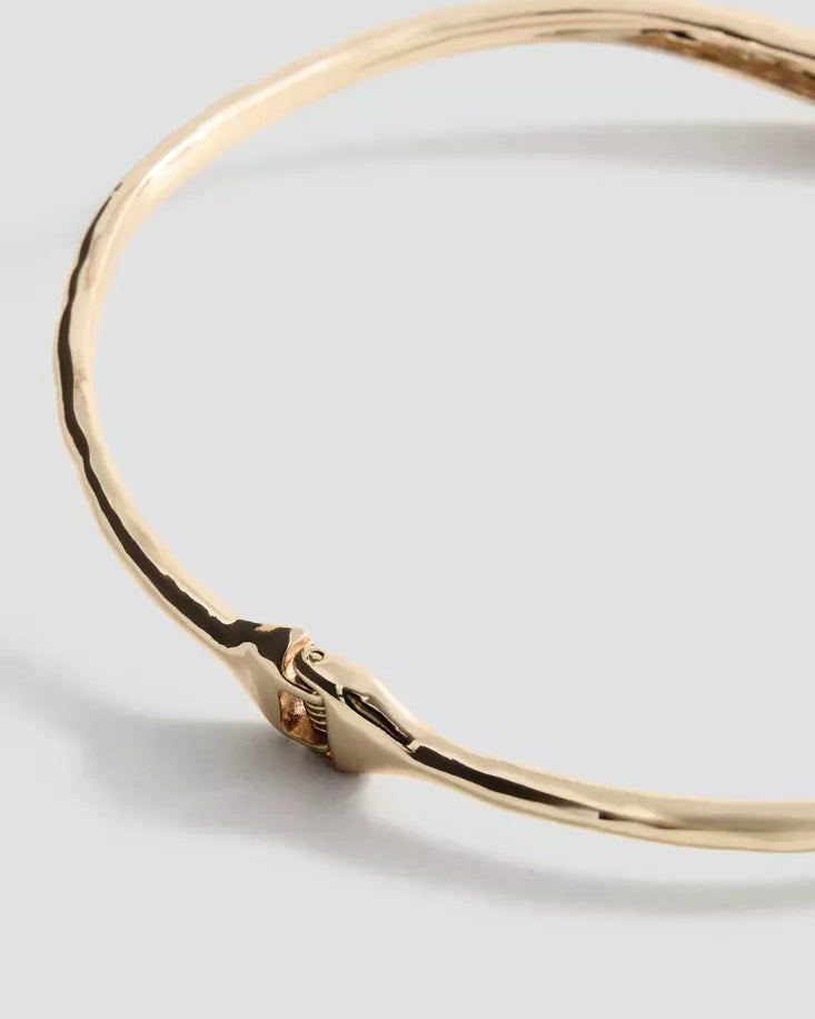 Color-Oro
