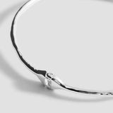Color-Plata