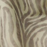 Color-Piedra
