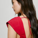 Color-Rojo