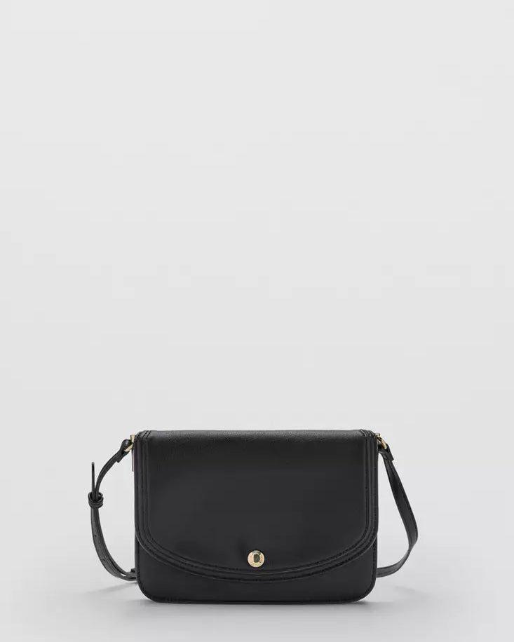 Color-Negro